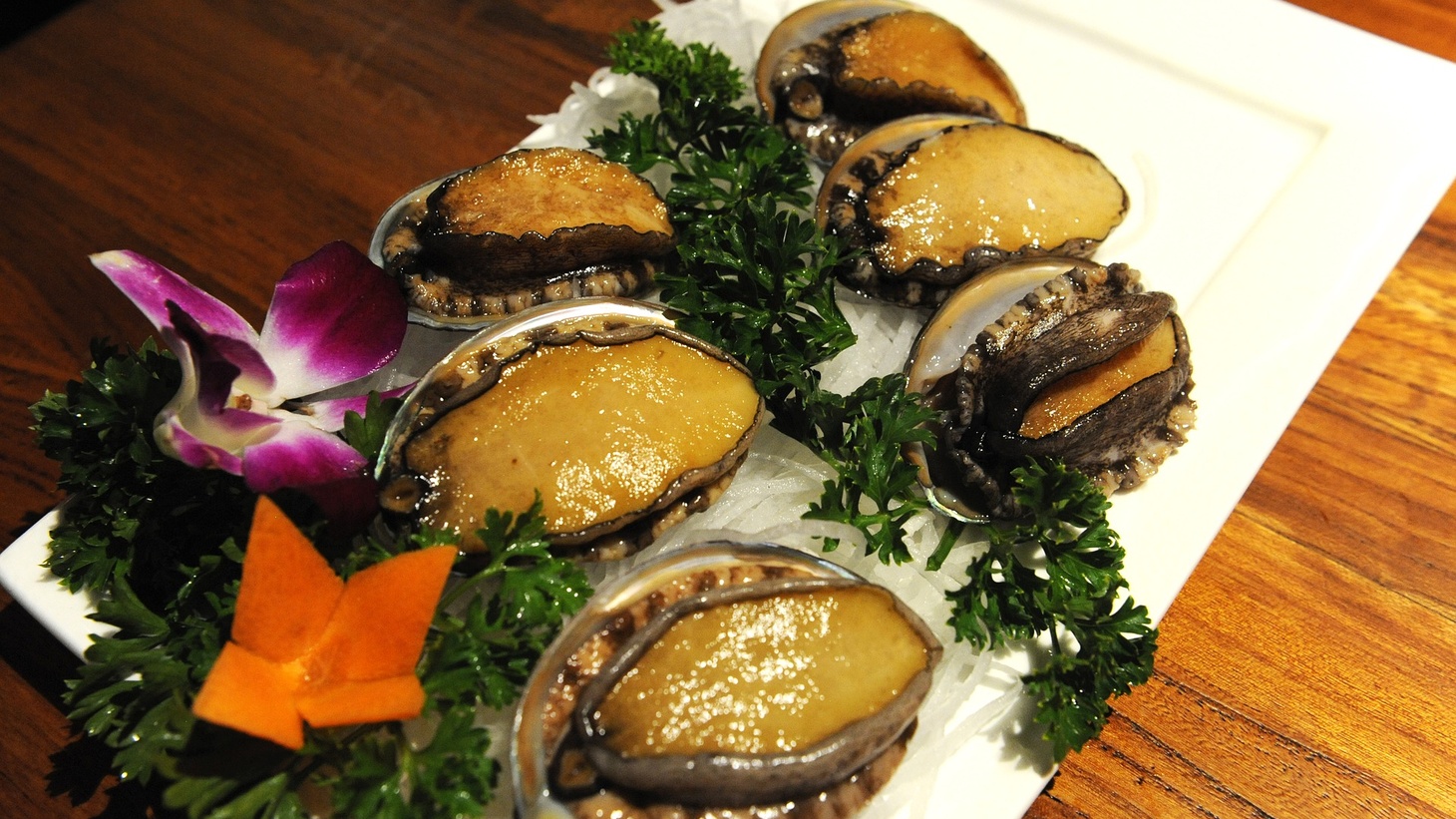 Red abalone fights for survival amid climate change | Press Play - KCRW