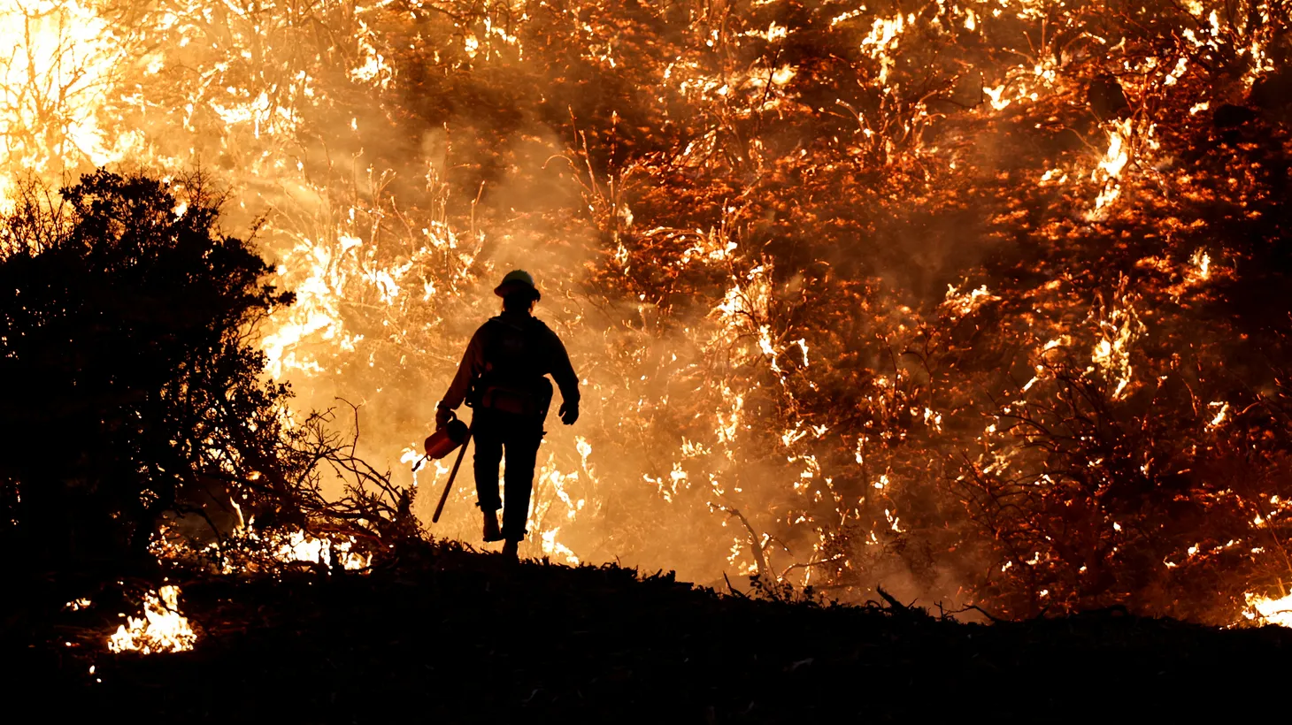 A firefighter works as the Caldor Fire burns in Grizzly Flats, California, U.S., on August 22, 2021.