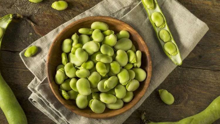 Nutrition-packed fava beans: Use them for purees, pastas, salad