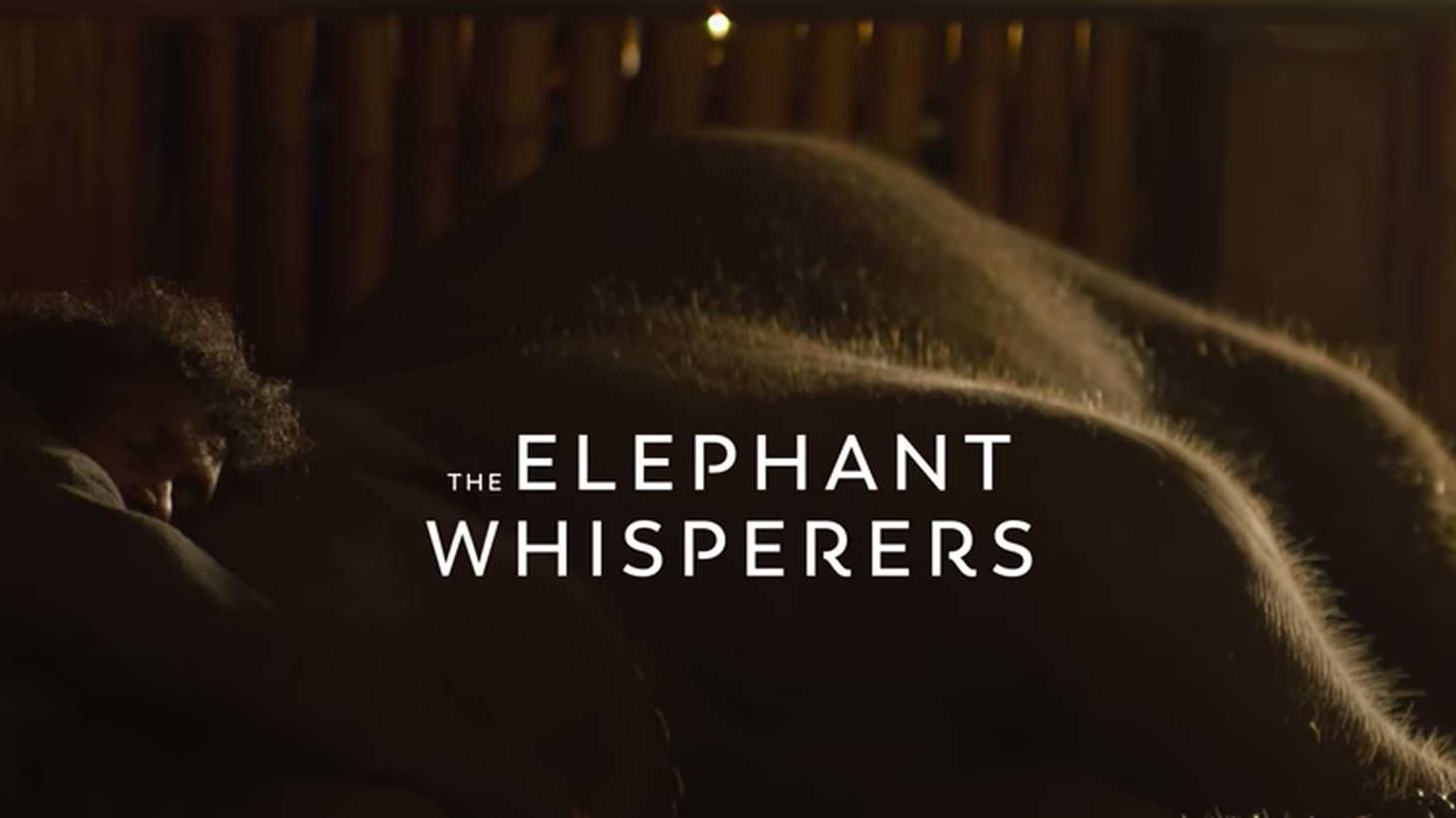 “The Elephant Whisperers” follows a couple in South India who decides to foster a baby elephant.