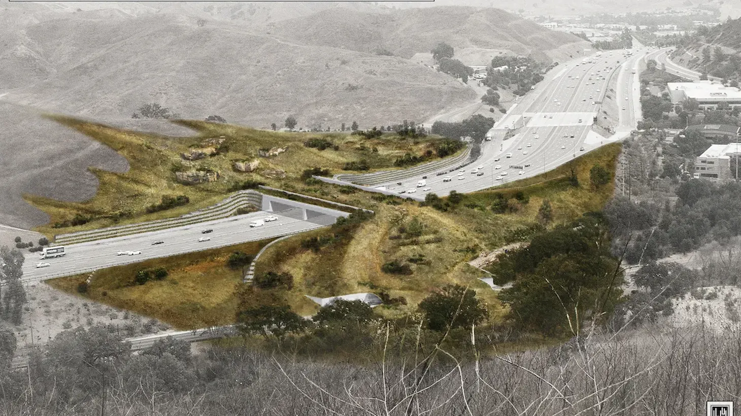 “This is being designed for everything from monarch butterflies to mountain lions. It really is a whole scale solution to reconnecting that Santa Monica Mountains ecosystem to the rest of the world,” says Beth Pratt-Bergstrom, California director for the National Wildlife Federation.