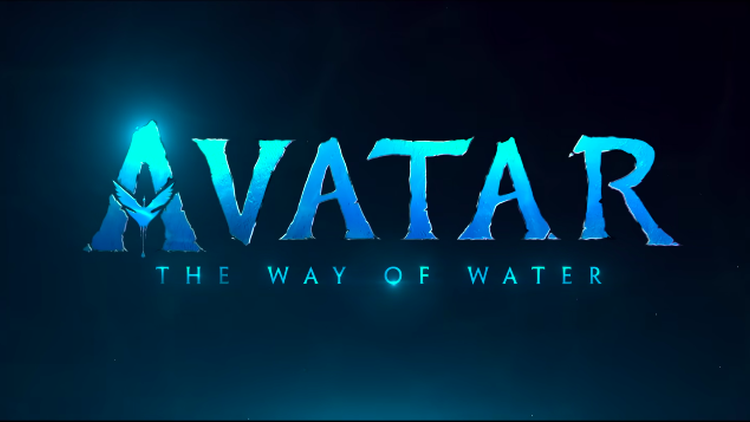 Critics review the latest film releases: ‘Avatar: The Way of Water’ and ‘EO.’