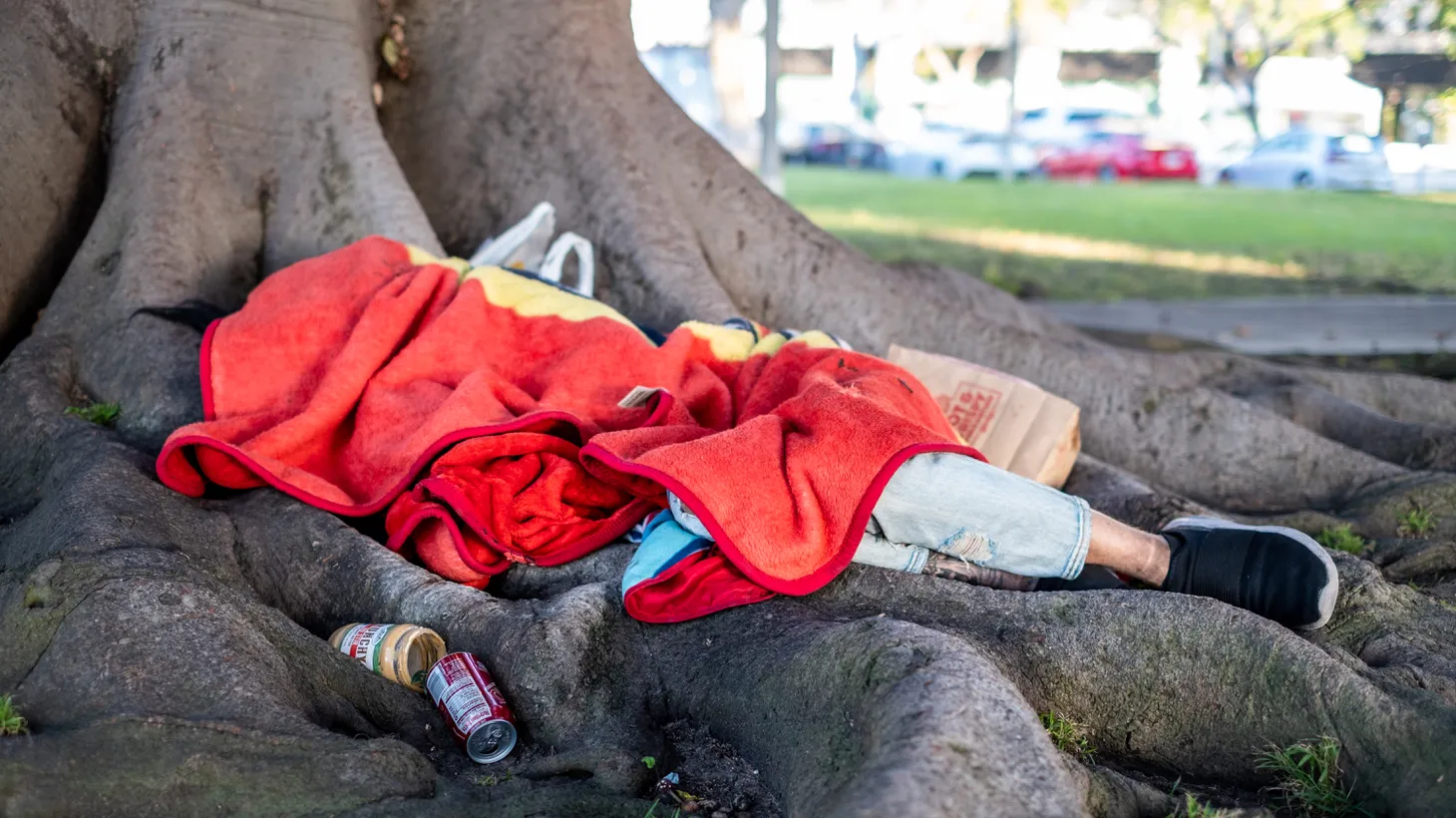 An unhoused person lies covered in a blanket under a tree in downtown Culver City, Feb. 25, 2022.