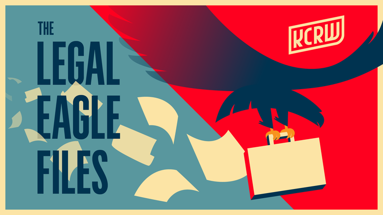 In this episode of The Legal Eagle Files, KCRW host and journalist Madeleine Brand talks with law professor Jessica Levinson about how states can act now to ensure that voters can s…