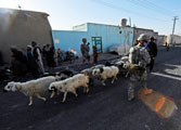 The Military and Civilian Challenges in Afghanistan