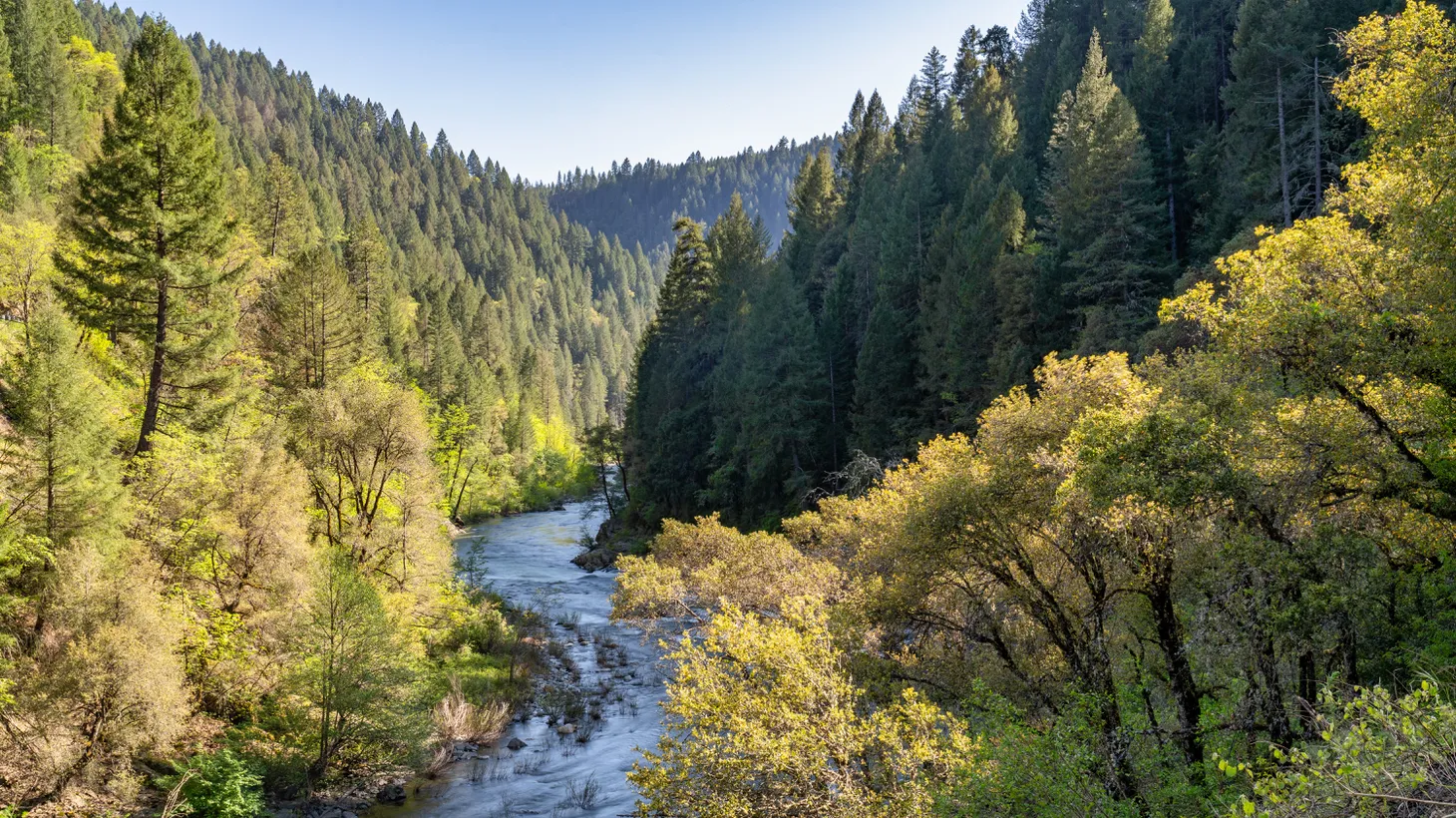 The North Fork of the Yuba River winds through the Tahoe National Forest in California’s Sierra Nevada, where noted futurist Kim Stanely Robinson finds solace, inspiration and reasons for optimism.